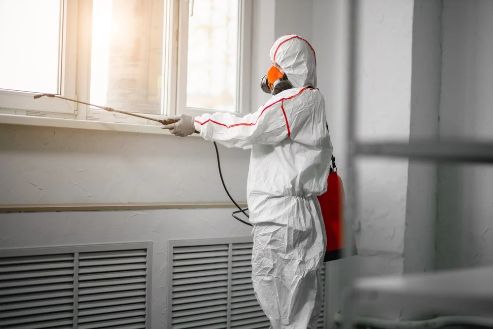 Professional mold remediation services in Picacho, NM